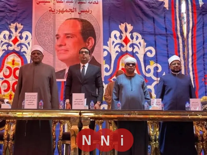 إنهاء الخلافات الثأرية بين عائلتي الأقصر بوساطة شيخ الأزهر