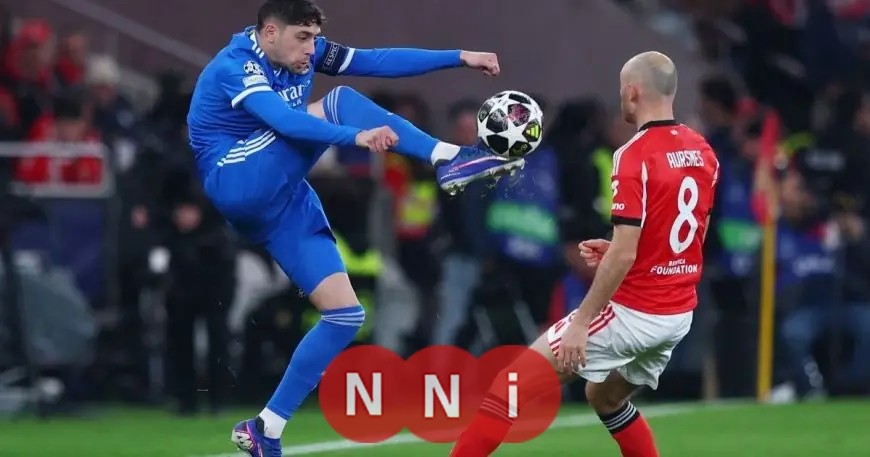 بنفيكا يواجه ريال مدريد ويتقدم بشكوى ضد فالفيردي للاتحاد الأوروبي لكرة القدم