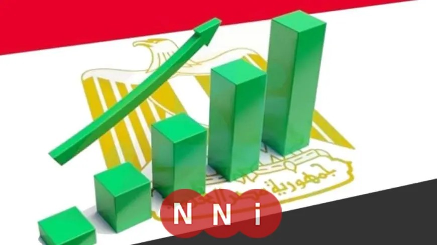 ارتفاع الاحتياطي الأجنبي لمصر إلى 52.6 مليار دولار وفق تصريحات مصطفى بدرة – شاهد الفيديو