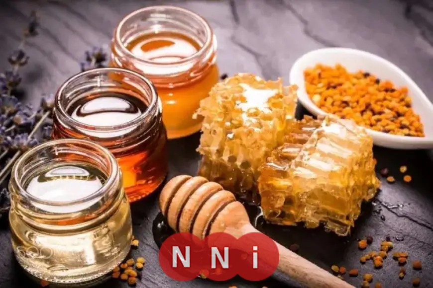 حسام موافي ينبه مرضى السكري: العسل ليس الحل المثالي ويجب الالتزام بالسعرات المناسبة