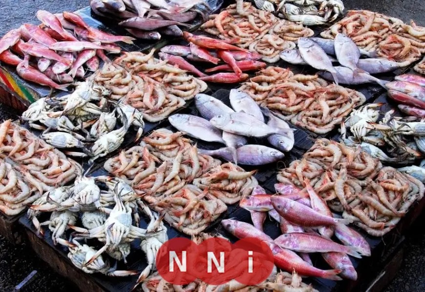 أسعار الأسماك اليوم السبت في الأسواق: البديل المثالي للحوم والدواجن