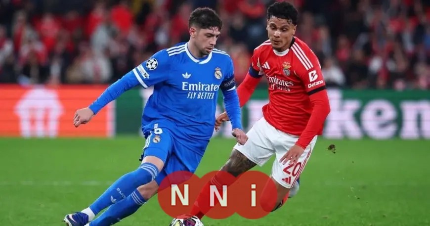 يويفا يرفض دعوى بنفيكا ضد قائد ريال مدريد فالفيردي