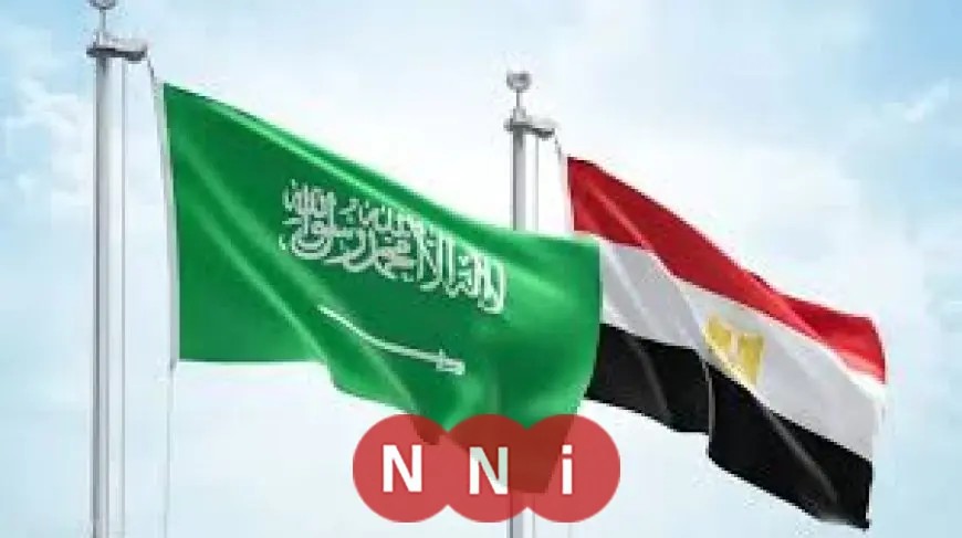 عبدالمنعم سعيد: التحالف المصري السعودي يثير قلق إسرائيل