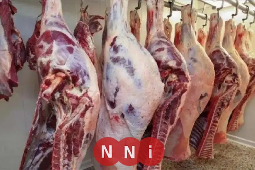 تعرف على أسعار اللحوم اليوم الثلاثاء 24 فبراير 2026 في الأسواق المصرية