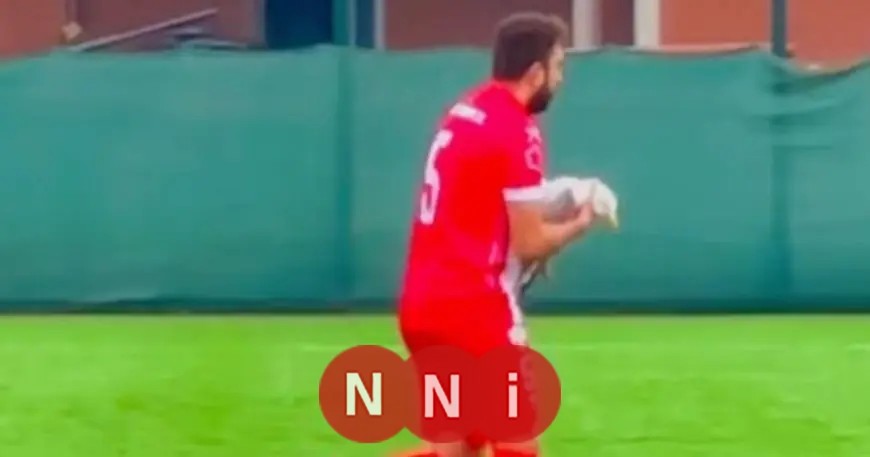 لاعب كرة قدم ينقذ حياة نورس مصاب خلال مباراة في تركيا