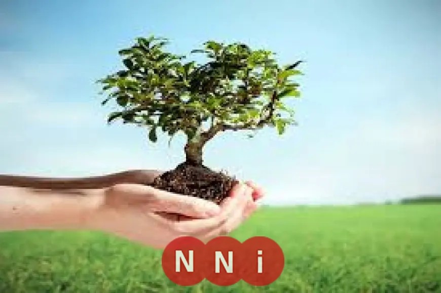 حملة لزراعة 100 مليون شجرة لتعزيز المساحات الخضراء في المحافظات