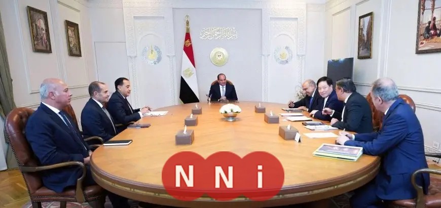 الرئيس السيسي يناقش شراكة استراتيجية مع رئيس شركة GCL الصينية لتعزيز الطاقة المتجددة في مصر