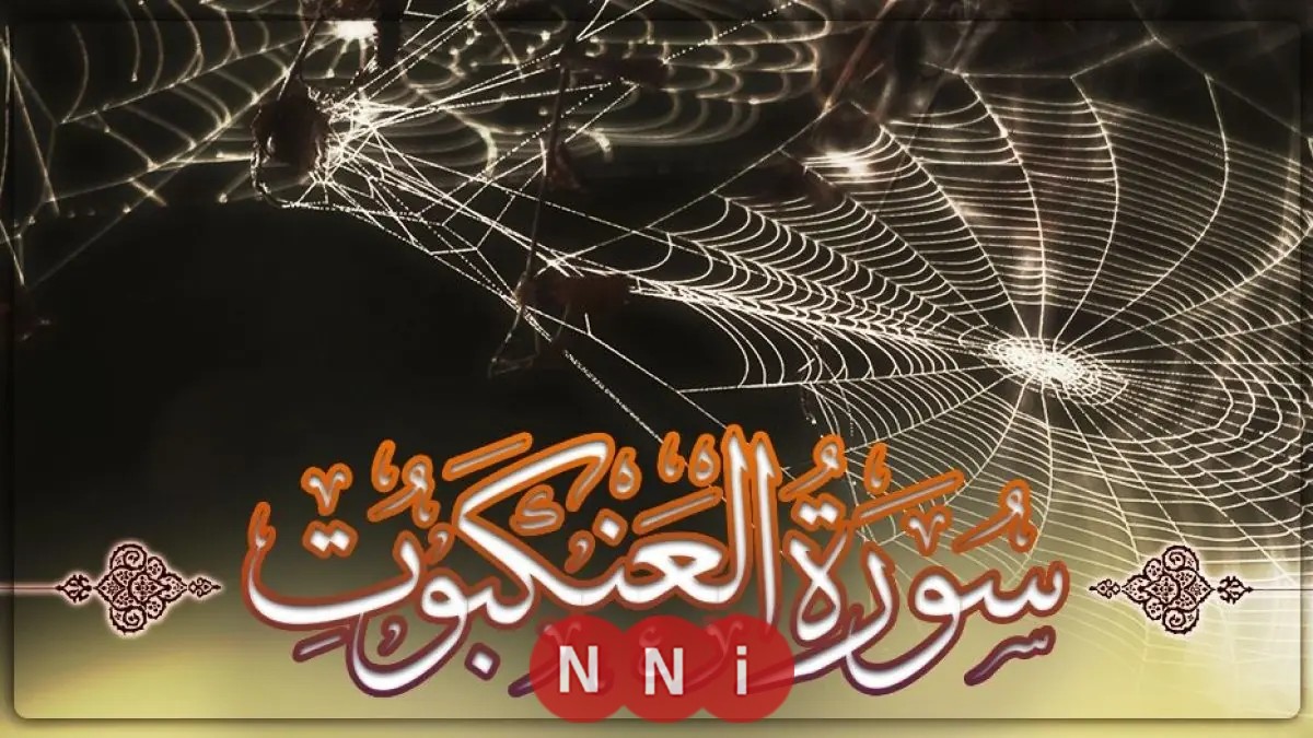 تعلم الطريقة المثلى لمحاورة أهل الكتاب من سورة العنكبوت مع عالم أزهري