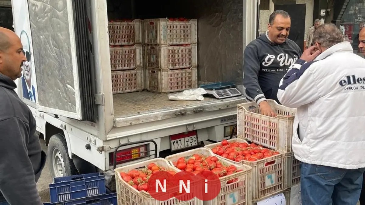 سيارات متنقلة من التموين لتوزيع الطماطم بأسعار مخفضة قبيل عيد الفطر