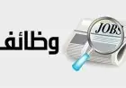 وزارة العمل تكشف عن 4435 فرصة عمل جديدة بالتعاون مع 44 شركة في 7 محافظات