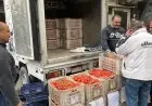 سيارات متنقلة من التموين لتوزيع الطماطم بأسعار مخفضة قبيل عيد الفطر