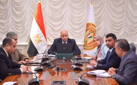 وزير العمل يتابع باستمرار أوضاع العمال المصريين بالخارج وسط الأحداث الجارية