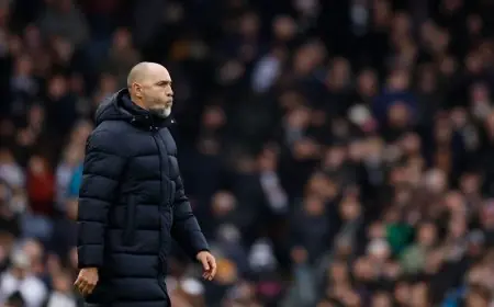 خسارة جديدة لتوتنهام أمام فولهام تضعه على حافة الهبوط في الدوري الإنجليزي