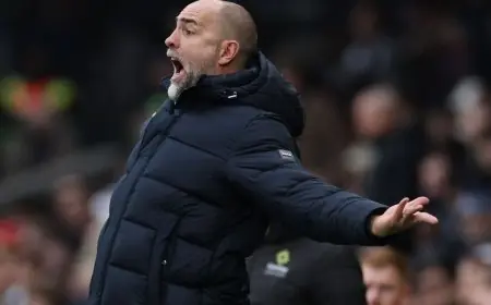 مدرب توتنهام ينفجر غضباً ضد فولهام بعد اتهام خيمينيز بالغش