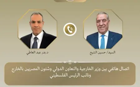 وزير الخارجية يناقش هاتفيًا آخر تطورات الأراضي الفلسطينية والمنطقة مع نائب الرئيس الفلسطيني