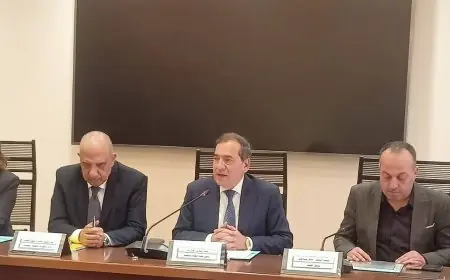 الدكتور محمود عصمت يكشف عن خطة شاملة لتعزيز توليد الكهرباء من المصادر المتجددة والمتنوعة