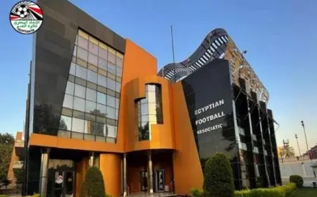 اتحاد الكرة يكشف عن انطلاق مرحلة التحول الرقمي الشامل في 2026