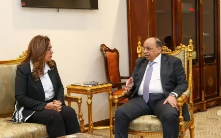 وزيرة التنمية المحلية تبحث تحسين الخدمات وتقنين الأوضاع وإدارة المخلفات بحضور محافظ القاهرة