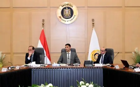 وزير الصناعة يناقش مع وزيري الاستثمار والتجارة الخارجية والمالية خطط تنمية صناعة السيارات