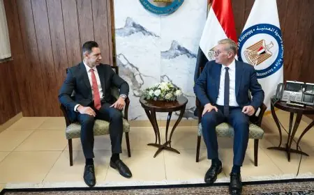 وزير البترول يناقش مع هاربر إنرجي خطط تعزيز إنتاج الغاز في حقل دسوق