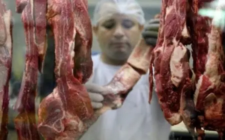 تعرف على أحدث أسعار اللحوم في مصر اليوم البتلو يصل إلى 447 جنيهاً للكيلو