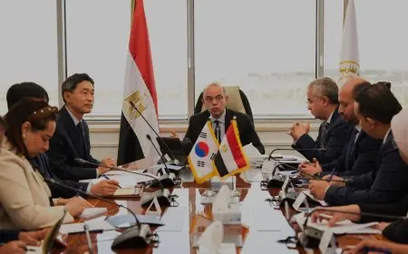 اجتماع وزير الاستثمار مع القائم بأعمال سفارة كوريا الجنوبية في القاهرة لتعزيز التعاون الاقتصادي
