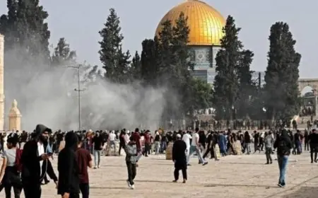 مصر تستنكر اعتداءات المستوطنين بالضفة الغربية وتدين إغلاق المسجد الأقصى المستمر