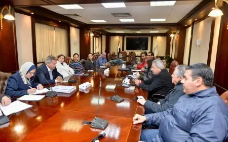 تفوق لافت لمسلسلات الـ15 حلقة في النصف الأول من رمضان وفقاً للجنة الدراما بالأعلى للإعلام