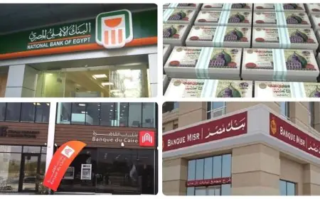 كيفية فتح حساب بنكي مجاني في مصر تفاصيل مبادرة الشمول المالي عبر 6 بنوك