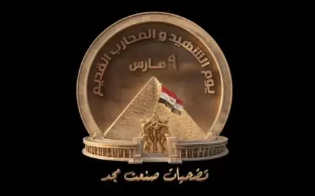 السوشيال ميديا تحتفي بذكرى الشهداء وتبرز بطولاتهم