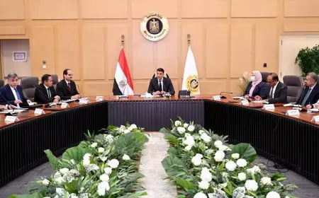 اجتماع موسع لبحث حلول مبتكرة لتحديات صناعة السيراميك والبورسلين في مصر