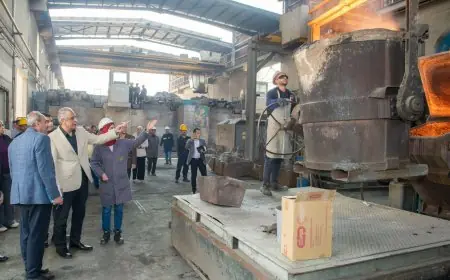 وزير الإنتاج الحربي يراقب تقدم العمل في حلوان للمسبوكات والأجهزة المعدنية