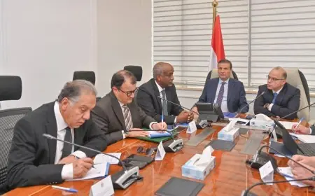 وزيرا الاستثمار والزراعة يبحثان تعزيز الاستثمار والتجارة المصرية في أفريقيا