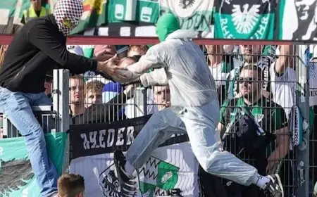 مشجع يتسبب في هزيمة فريقه بتخريب تقنية الفيديو