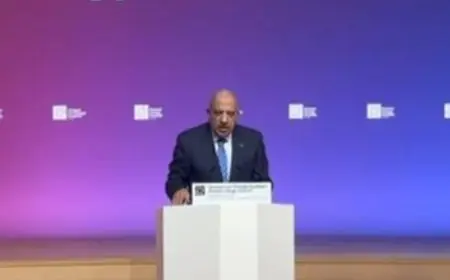 وزير الكهرباء يعلن عن خطة لإنشاء منطقة خالية من الأسلحة النووية في الشرق الأوسط للحد من المخاطر الإقليمية