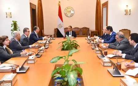 وزير الخارجية يعزز جهود متابعة أحوال المصريين في الخارج وتسهيل الخدمات القنصلية