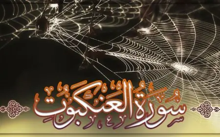 تعلم الطريقة المثلى لمحاورة أهل الكتاب من سورة العنكبوت مع عالم أزهري