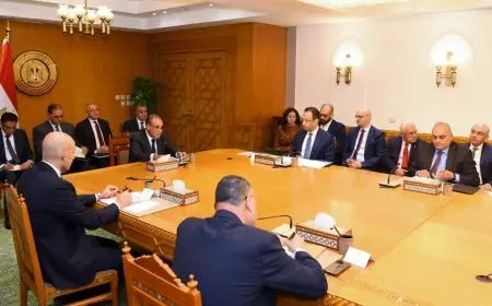 الخارجية تستضيف اجتماعاً مشتركاً لوزراء التربية والتعليم العالي والاتصالات لمتابعة قضايا المصريين المغتربين