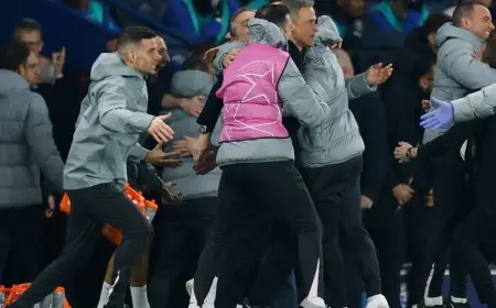 لويس إنريكي يحتفل بانتصار باريس سان جيرمان الكبير على تشيلسي