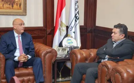 تنمية المشروعات تضخ 300 مليون جنيه لدعم أمان والمشروعات الصغيرة والمتوسطة في مصر