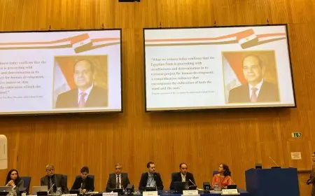 الأمم المتحدة تدرج مصر في قائمة 7 دول لاستعراض تجربة مكافحة المخدرات في فيينا