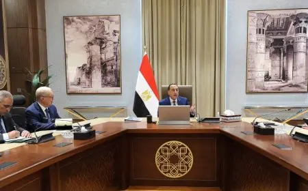 رئيس الوزراء يواصل متابعة جهود صندوق مصر السيادي لزيادة عائدات أصول الدولة