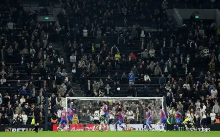 توتنهام يعدل موعد شراء تذاكر الموسم الجديد تجنباً للهبوط