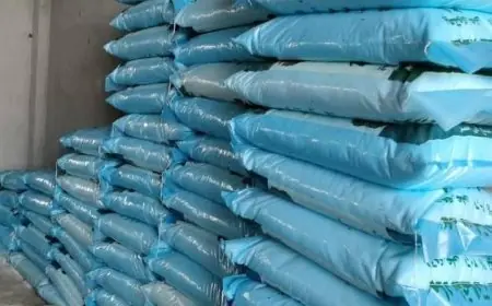 وزارة الزراعة تطمئن الفلاحين باستقرار إمدادات الأسمدة المدعمة وعدم وجود أي نقص في الحصص