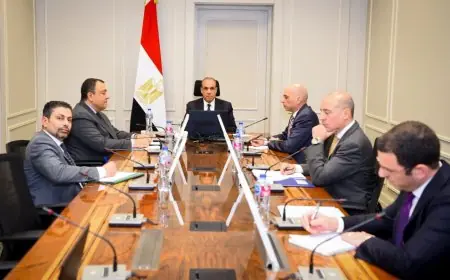 وزير الخارجية يحضر الاجتماع الوزاري المشترك الرابع بين مصر ودول الخليج لتعزيز التعاون