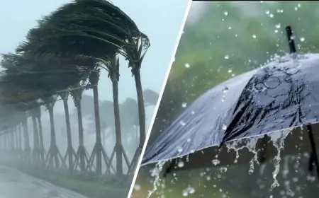 تحذير هام من الأرصاد: تدهور الرؤية الأفقية في الوقت الحالي بهذه المحافظات