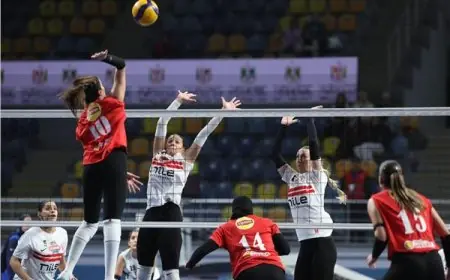 اليوم انطلاق نصف نهائي كأس مصر للكرة الطائرة للسيدات بمنافسات مشوقة