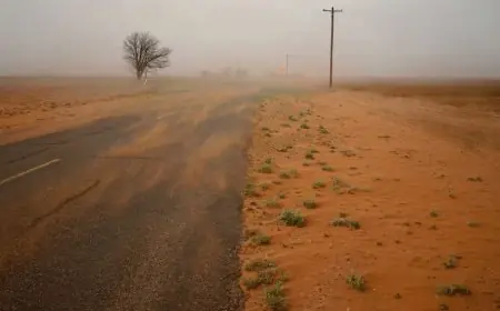 الرياح المحملة بالأتربة تقلل الرؤية الأفقية في شمال سيناء وأهم المدن الكبرى