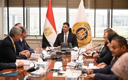 تفاصيل مثيرة عن مشروع مصنع سيانيد الصوديوم الجديد في مصر يوفر 500 فرصة عمل متوقعة