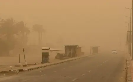 تعزيز الاستعدادات في الوادي الجديد لمواجهة الرياح والأتربة وسط تحذيرات الأرصاد الجوية